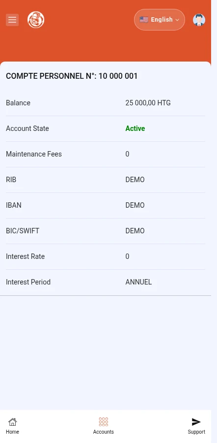 Look for: ⁨« Balance »⁩ · ⁨« Account State »⁩. The number, balance and account details are fictional. Do not use them to receive a payment.