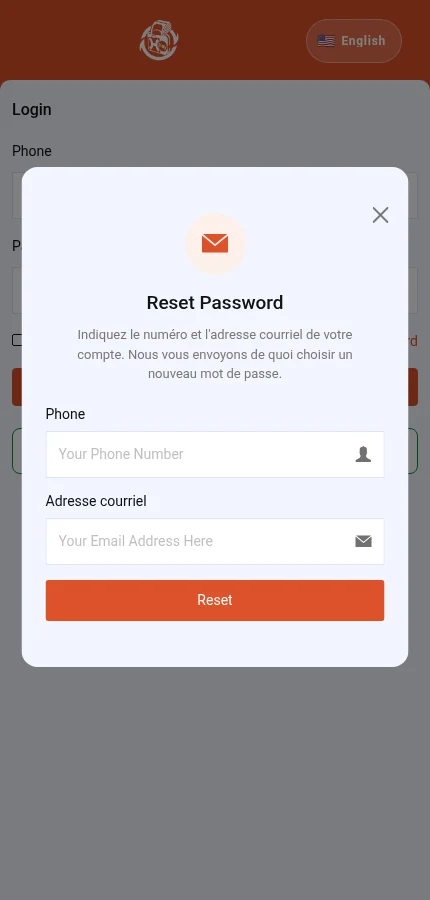 Look for: ⁨« Phone »⁩ · ⁨« Adresse courriel »⁩ · ⁨« Reset »⁩. The form is empty: enter the details of your own account.