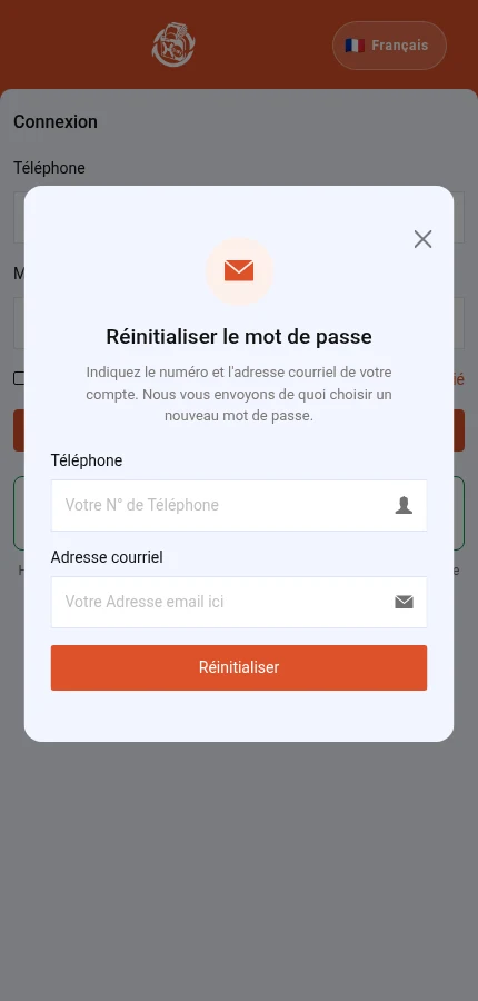 À repérer : ⁨« Téléphone »⁩ · ⁨« Adresse courriel »⁩ · ⁨« Réinitialiser »⁩. Le formulaire est vide : les valeurs devront être celles de votre compte.