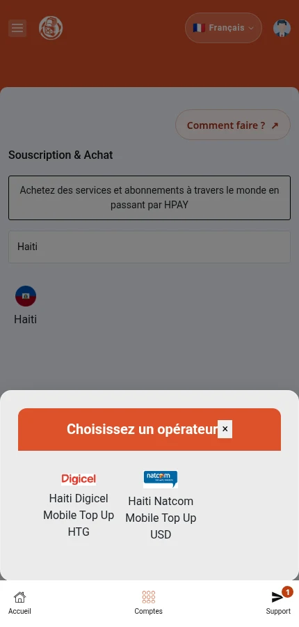 Le catalogue réel présente les opérateurs disponibles pour Haïti. La suite illustrée utilise Haiti Digicel.